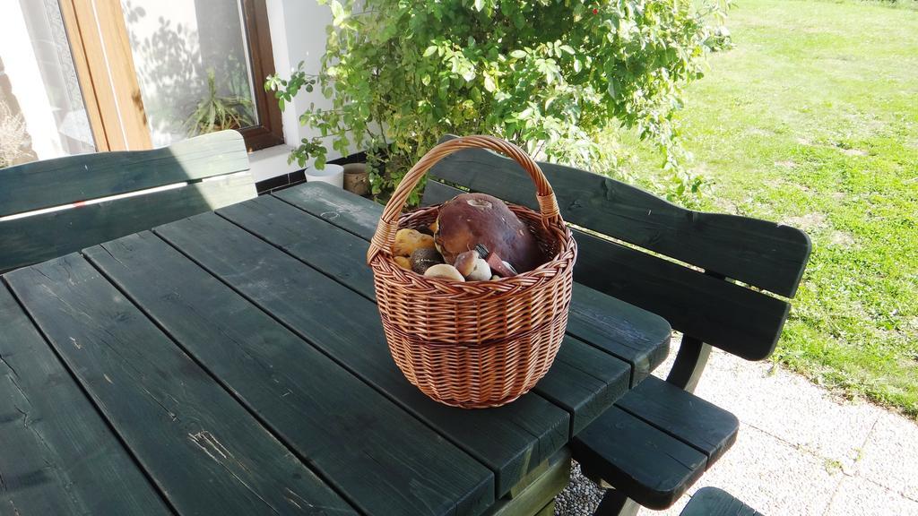 Holiday home Prazdninovy Dum - Pacl
